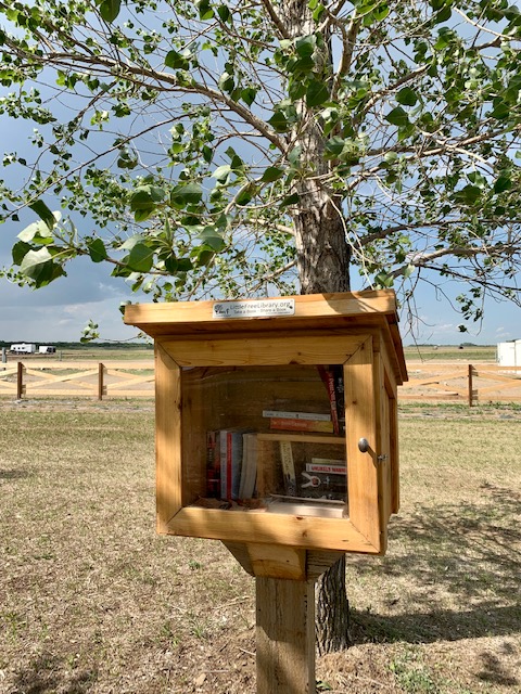Sunset Beach at Lake Diefenbaker Little Free Library