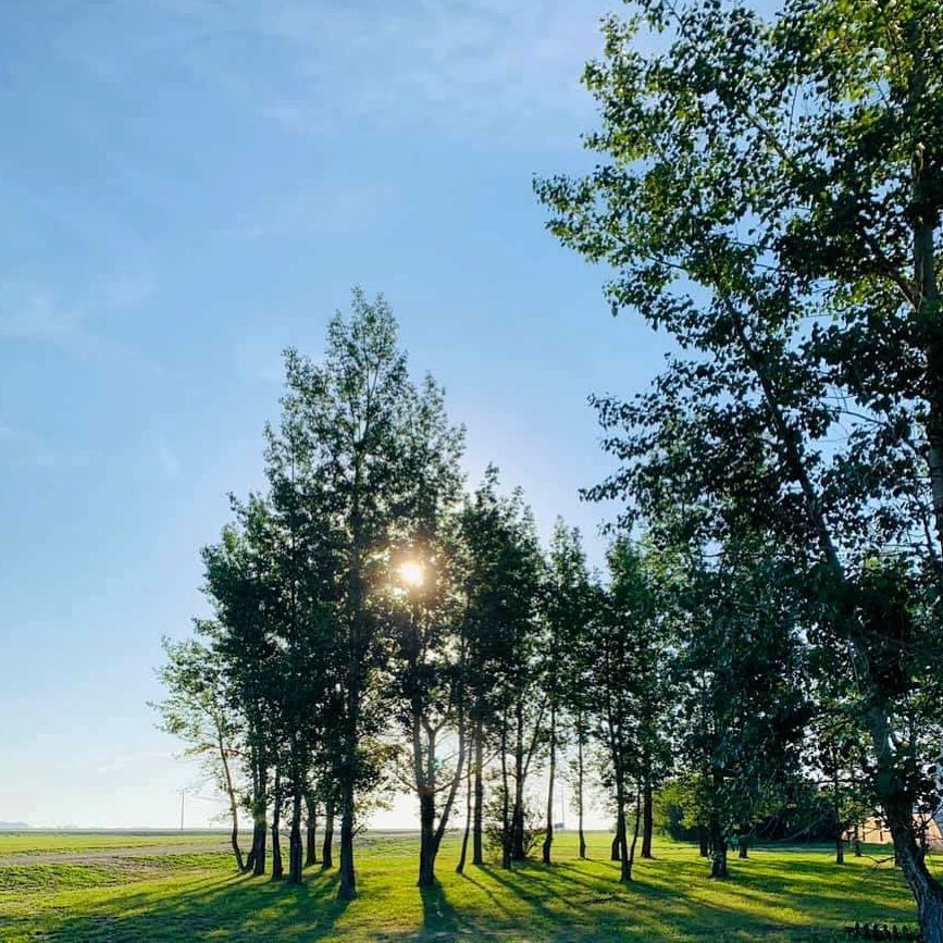 Sunset Beach at Lake Diefenbaker