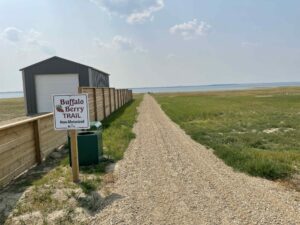 FAQ 6 Buffalo Berry Trail entrance to shoreline trails at Sunset Beach Lake Diefenbaker