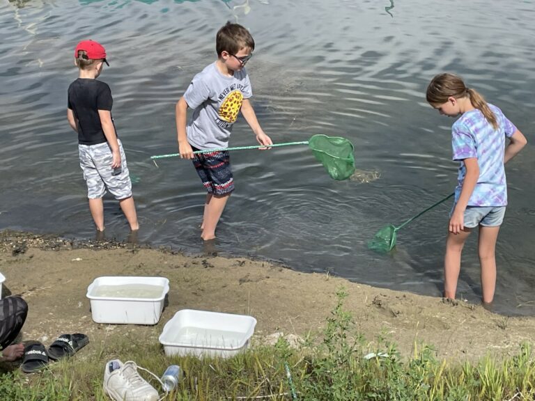 kids holding nets pond dipping in the lake