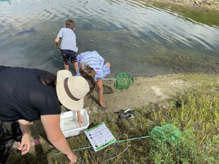 kids looking at macroinvertebrates they caught pond dipping