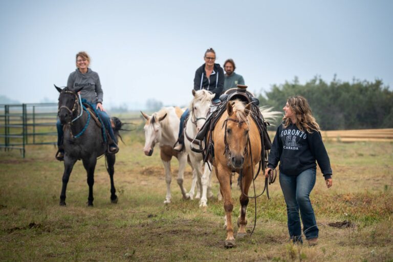 Equine Experiences at Sunset Beach 2 saddlepaddle