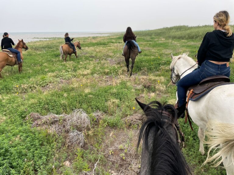 Equine Experiences at Sunset Beach 1 horseback trail rides at Sunset Beach at Lake DIefenbaker